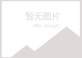 新疆紫山化学有限公司